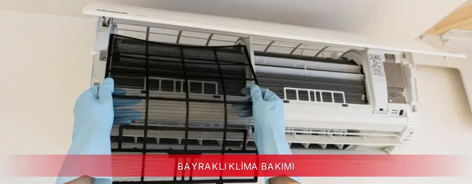 Bayraklı İlçemi Mitsubishi Electric Klima Bakımı
